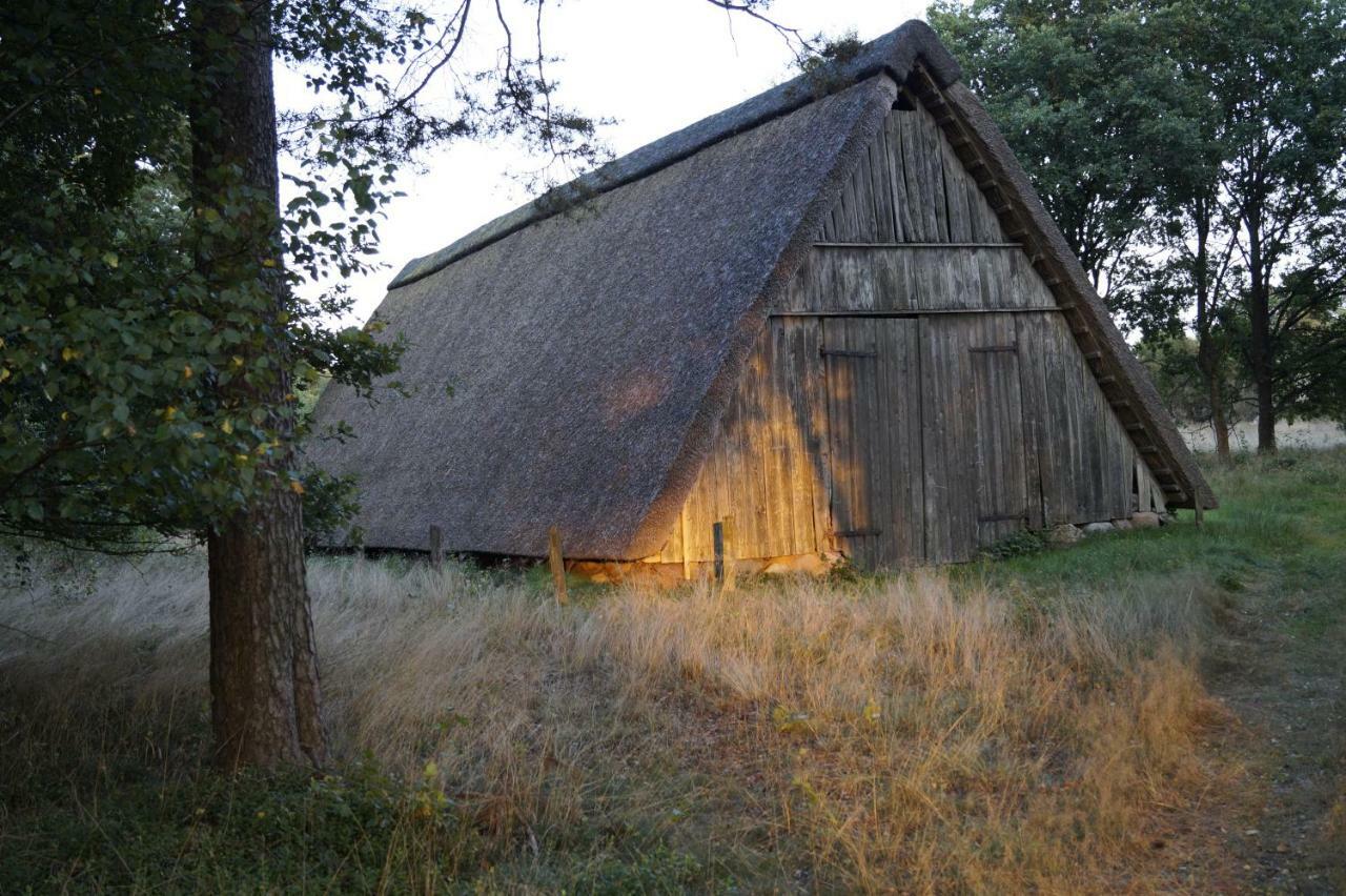 Ferienhaus Wahlers Bispingen Exterior foto