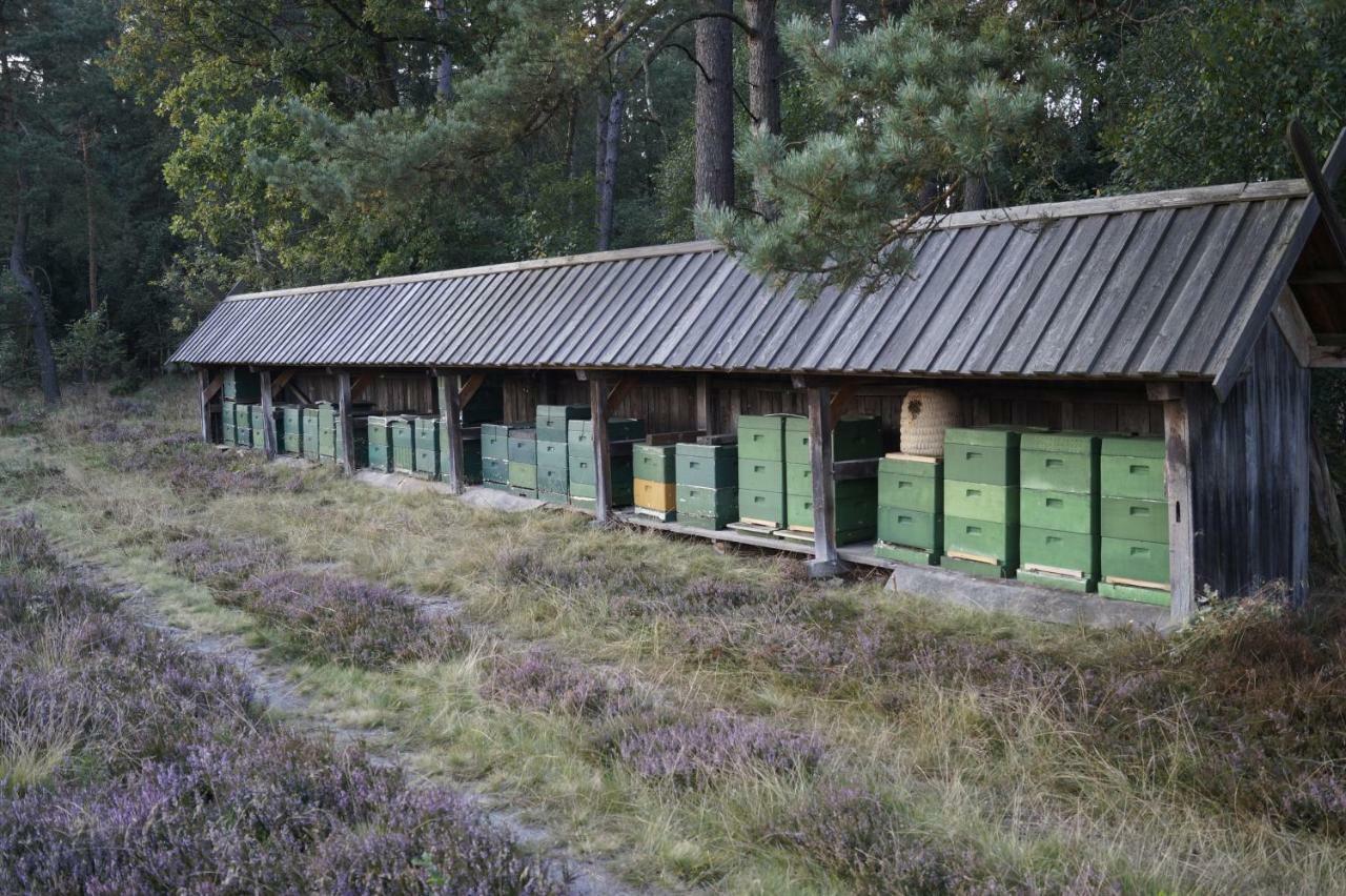 Ferienhaus Wahlers Bispingen Exterior foto