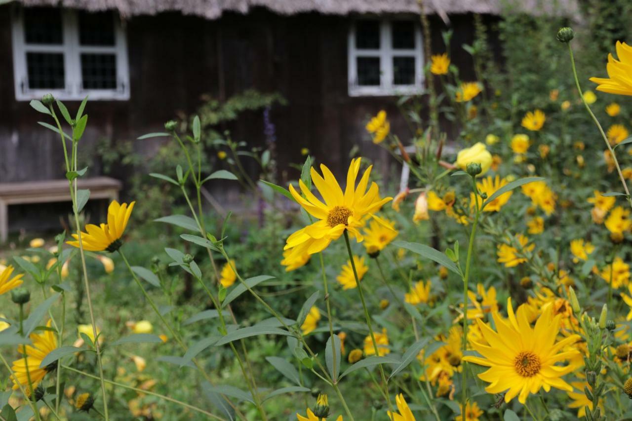 Ferienhaus Wahlers Bispingen Exterior foto
